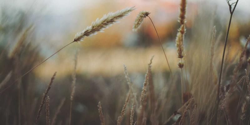 Lili Li14：在个人博客中，用正念开启你的身心平衡之旅