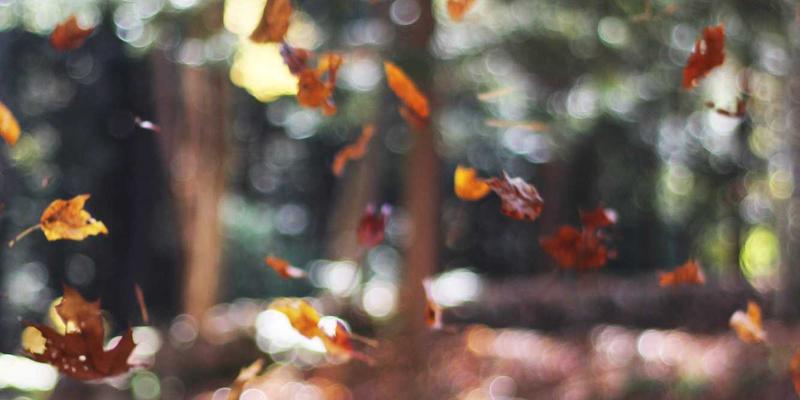 Lili Li19:在喧嚣时代,以正念重寻身心平衡的现代指南