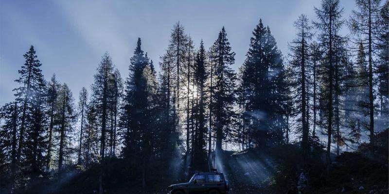 Lili Li2:在Cozy Living中探寻身心平衡的现代生活哲学