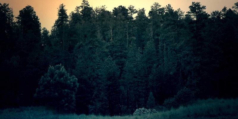 Lili Li37：在快节奏时代，构建属于你的温馨生活与内在安宁