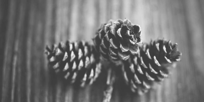 Lili Li42：在创意手帐与温馨日常中，寻找每日灵感