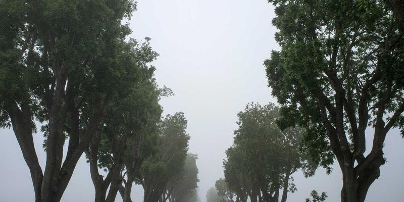 Lili Li45：用正念创意手账，构建理想生活方式的实践指南