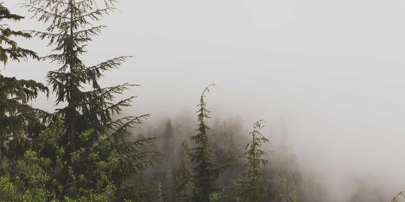 Lili Li63的创意手账哲学：在温馨生活中书写身心疗愈之旅