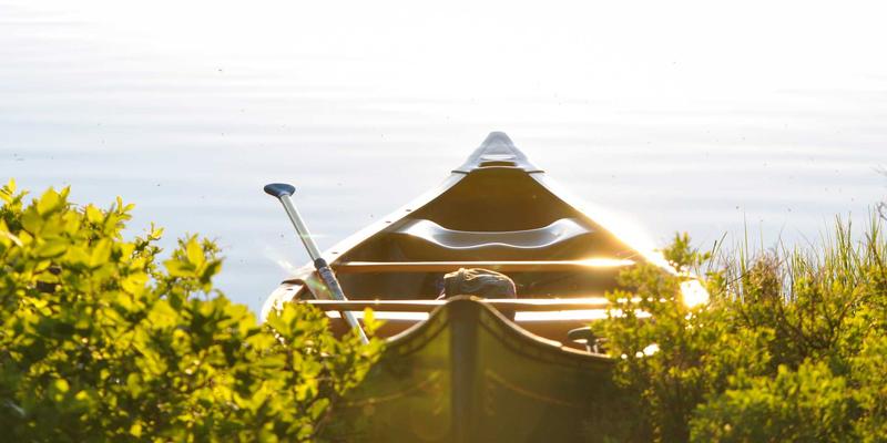 Lili Li76:探索身心平衡的现代健康生活哲学