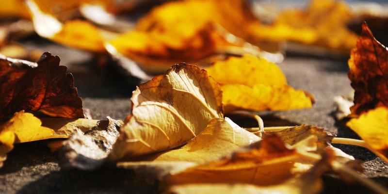 Lili Li79：一本创意日志如何成为每日灵感的源泉