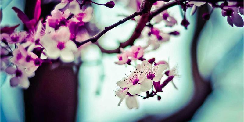 Lili Li8: Cultivating Mindfulness Through Personal Blogging
