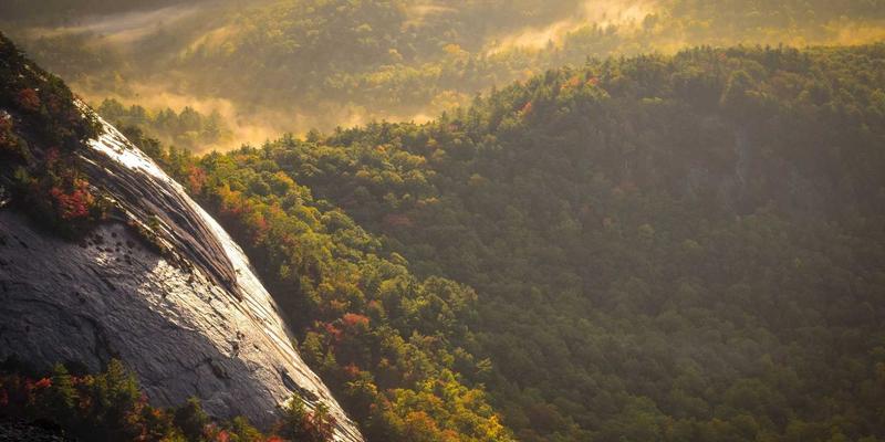 Lili Li：在个人博客中发现日常灵感，点亮平凡生活的微光