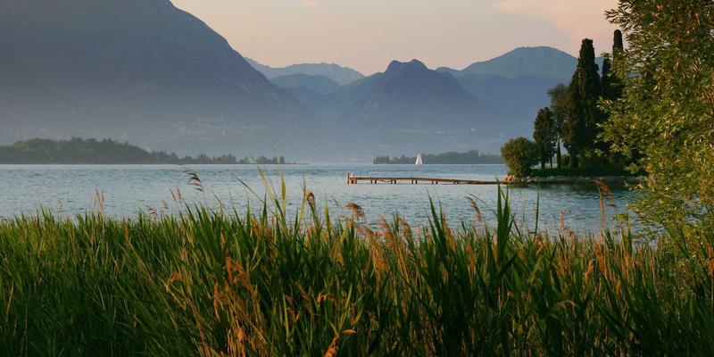 Lili Li的可持续生活美学：将环保理念融入日常灵感的温馨生活指南