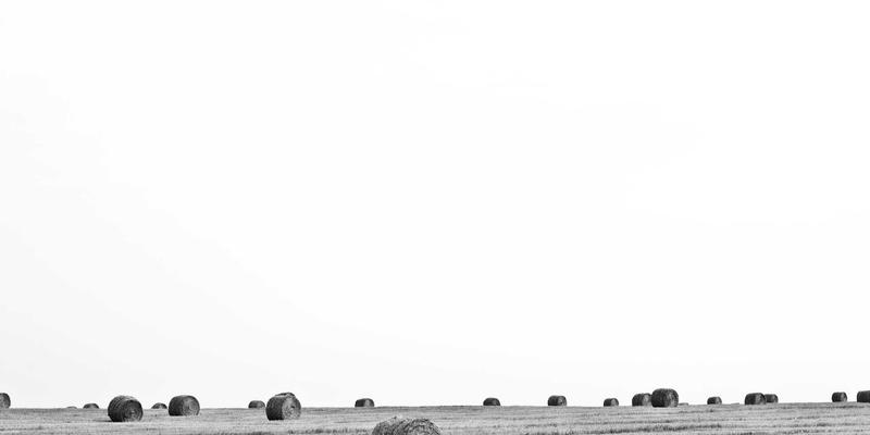 Lili Li的社群构建哲学：从个人博客到温暖、互动型Wellness与Cozy Living社区的培育之路