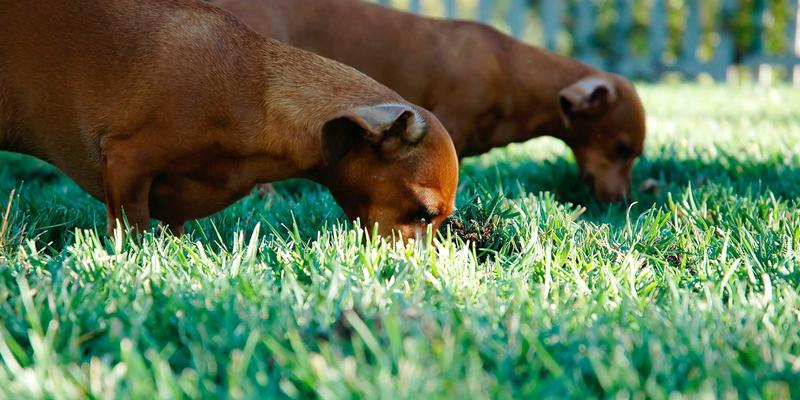 Lili Li谈数字极简主义：在个人博客中构建专注、舒适与创造性的生活方式