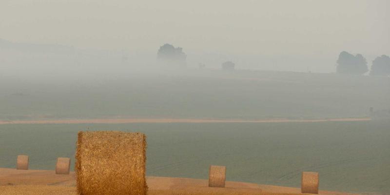 Lili Li预测：正念与创意手账如何重塑日常灵感获取的未来