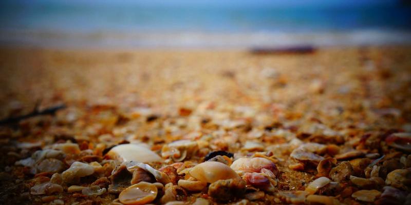 Mindfulness与可持续生活：跟随Lili Li的日常灵感，将环保融入Wellness选择