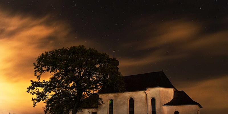 从个人博客到社会变革：Lili Li如何通过生活方式研究重塑健康理念