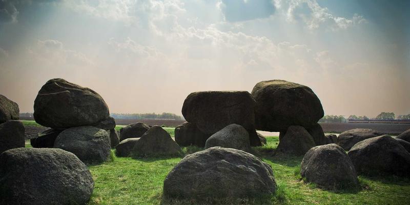 从创意期刊到健康研究：深度解析Lili Li的学术生涯与研究方向