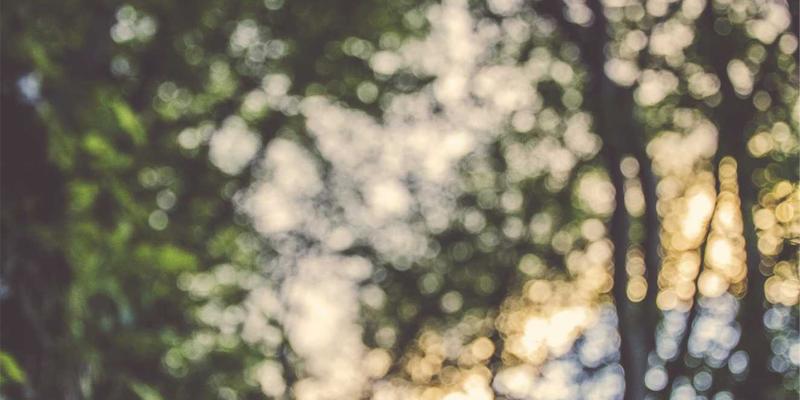 跟随Lili Li的晨间仪式：在个人博客中寻找每日灵感，开启创意高效一天